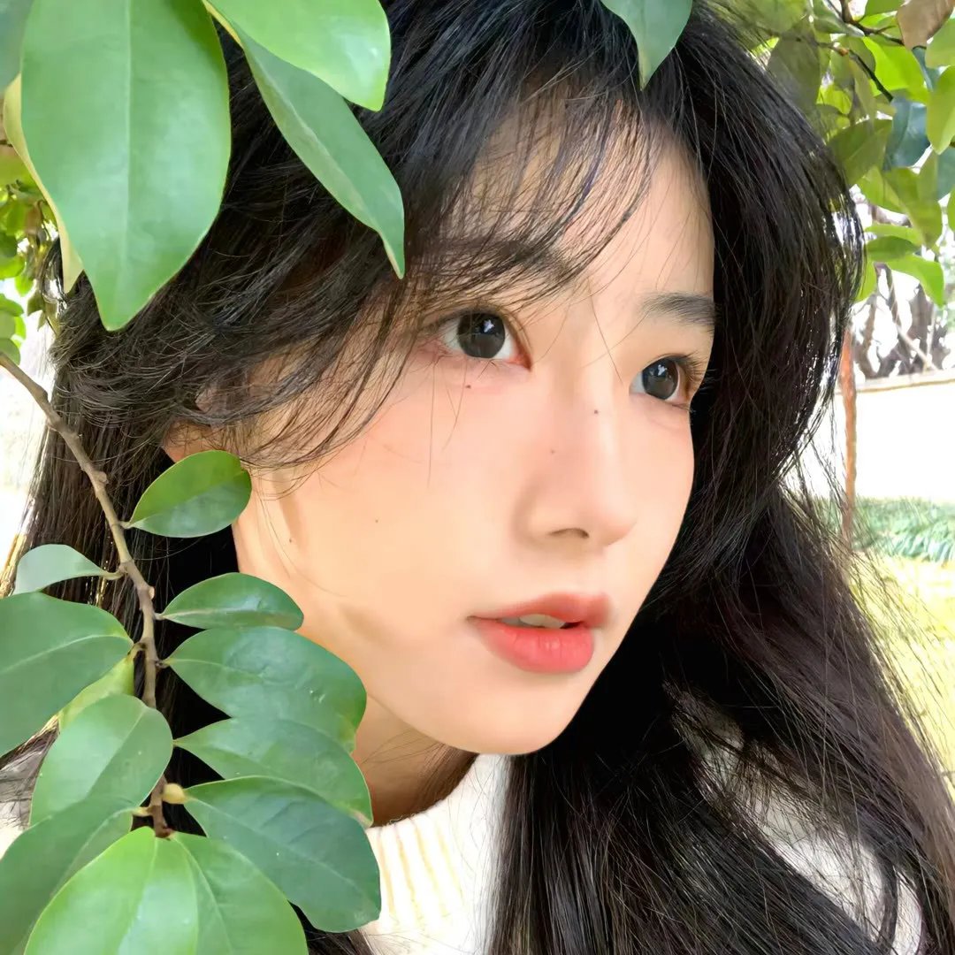 江姐